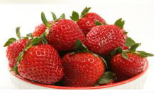 U-Pick Strawberries | UPick Strawberries | Strawberrys | Berrien County | Southwestern Michigan